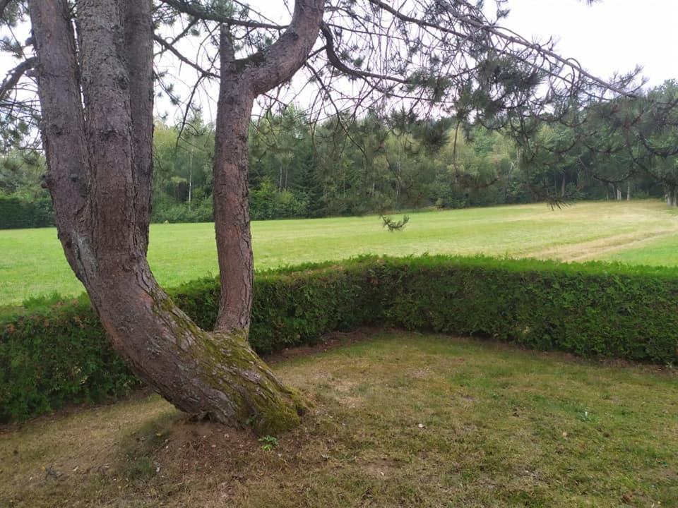 Chalet Du Spiemont Champdray Luaran gambar